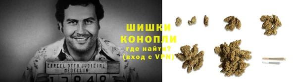 сатива Каменка