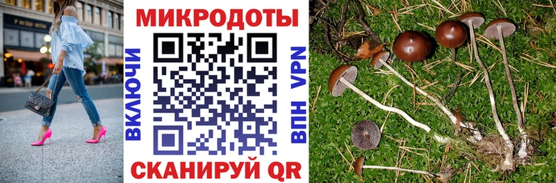 Галлюциногенные грибы Psilocybine cubensis Беслан